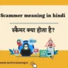 scammer meaning in hindi