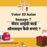 voter id